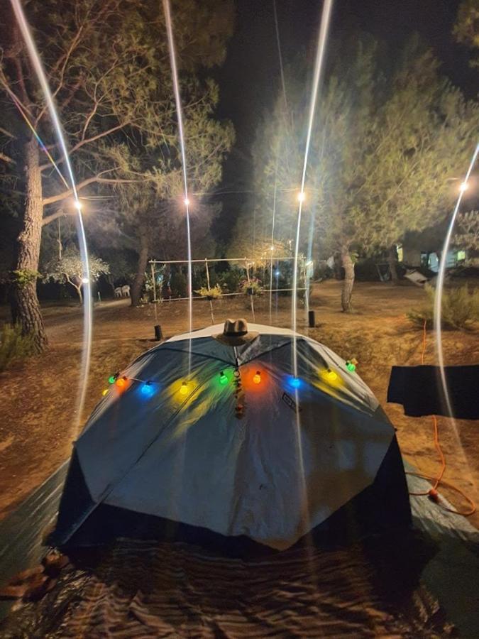 Agricamping Poggio Ai Pini Wine Camping Certaldo Exterior foto