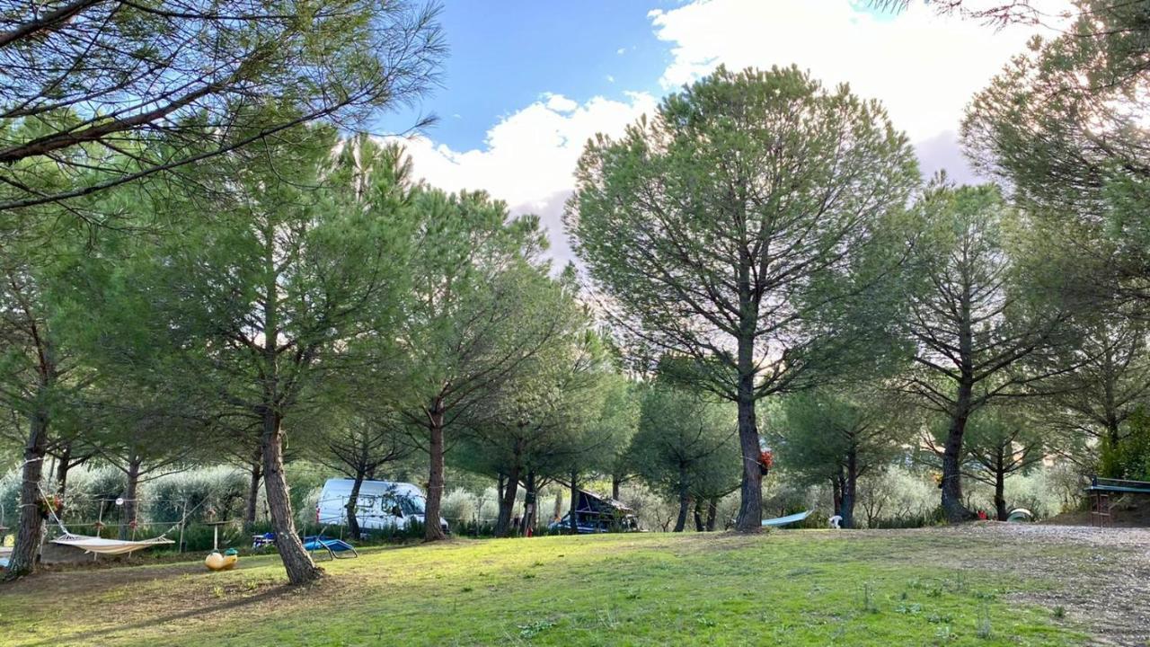 Agricamping Poggio Ai Pini Wine Camping Certaldo Exterior foto