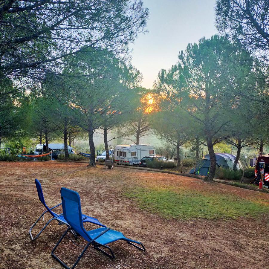 Agricamping Poggio Ai Pini Wine Camping Certaldo Exterior foto
