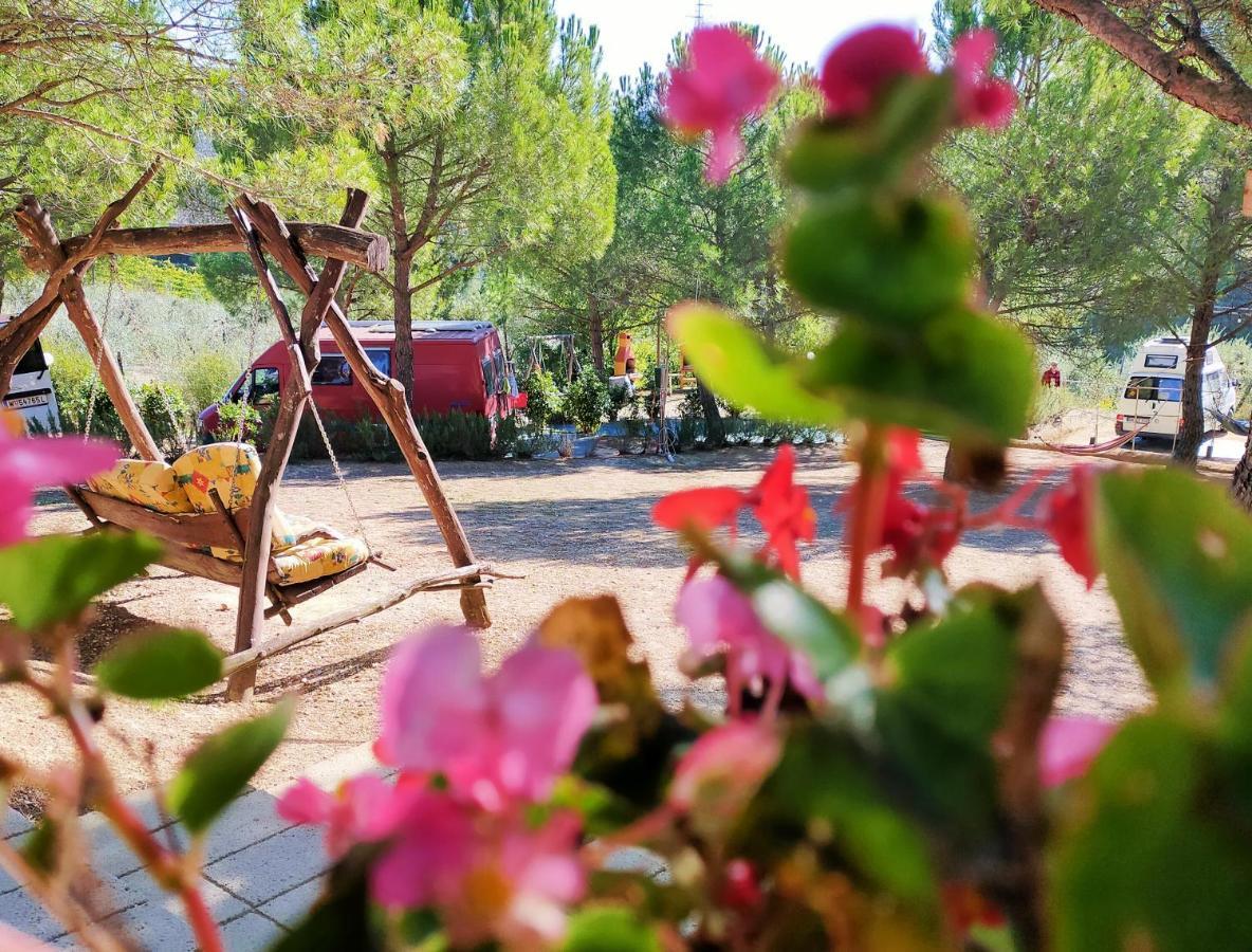 Agricamping Poggio Ai Pini Wine Camping Certaldo Exterior foto