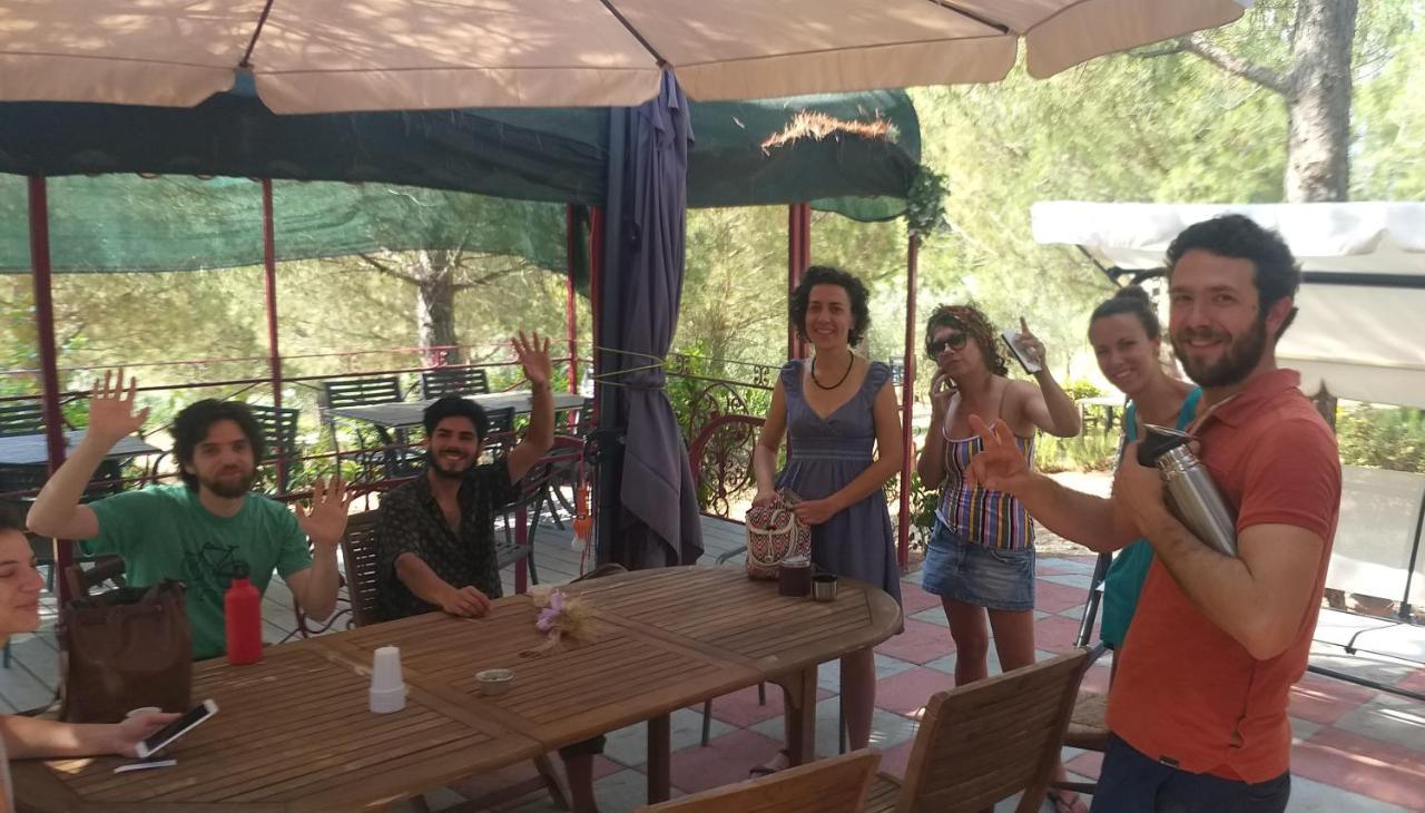 Agricamping Poggio Ai Pini Wine Camping Certaldo Exterior foto