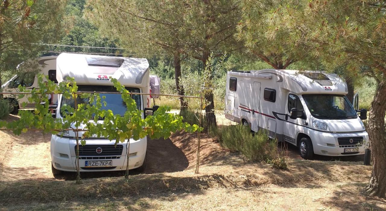 Agricamping Poggio Ai Pini Wine Camping Certaldo Exterior foto